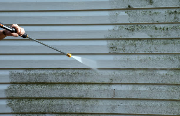 Boat and Dock Cleaning in West Little River, FL